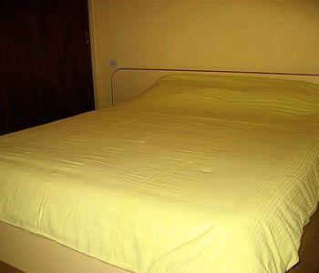 Irlanda 3* Timişoara